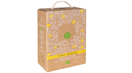 Asa de papel con base kraft